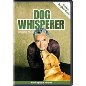 <a href="http://www.shibashake.com/dog/cesar-millan-controversial-topics" target="_top">Cesar Millan, <br/>The Dog Whisperer's Most Controversial Topics</a>